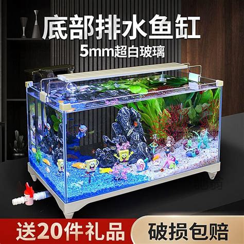 懶人養魚|超簡單，低成本，2個月不用換水的魚缸